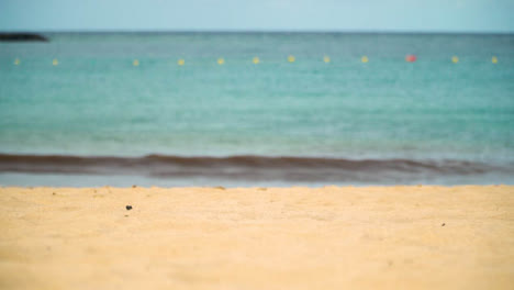 Concepto-De-Vacaciones-De-Verano-Con-Playa-De-Arena-Vacía-Contra-El-Fondo-Del-Mar-2