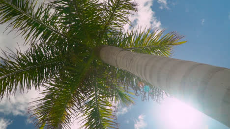 Summer-Holiday-Concept-Looking-Up-At-Palm-Tree-With-Blue-Sky-And-Clouds-1