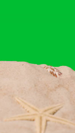 Vertical-Video-Summer-Holiday-Concept-Person-Collecting-Shells-Starfish-On-Sandy-Beach-Against-Green-Screen