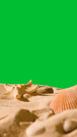 Vertical-Video-Summer-Holiday-Concept-With-Shells-Starfish-On-Sandy-Beach-Against-Green-Screen