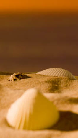 Vertikales-Video-Sommerferienkonzept-Mit-Muscheln-Seesterne-Am-Sandstrand-Gegen-Meer-Und-Sonnenuntergang-Himmel