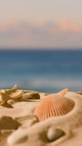 Vertikales-Video-Sommerferienkonzept-Mit-Muscheln-Seesterne-Am-Sandstrand-Gegen-Meer-Und-Abendhimmel