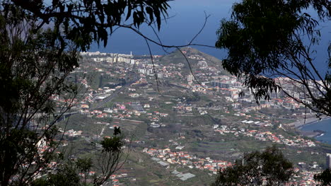 Vista-Enmarcada-Del-árbol-De-Madeira-Desde-El-Acantilado-De-Alta-Mar