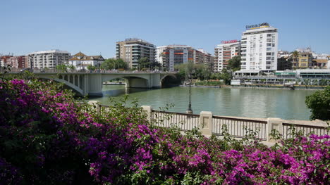 Seville-Flowers-And-Guadalquivir-River