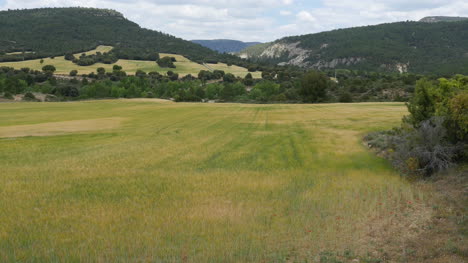 Spain-Alto-Tajo-Wheat-Field