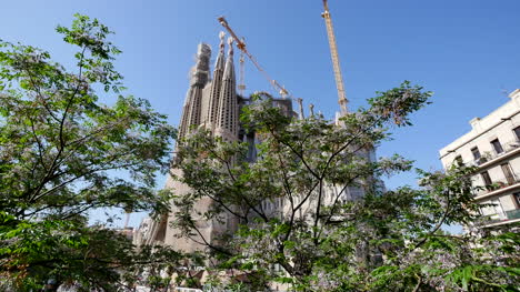 Spain-Barcelona-Sagrada-Familia-With-Tree-In-Front