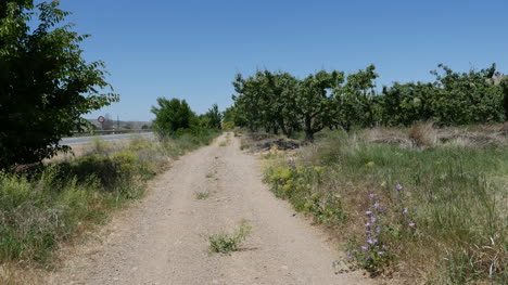 España-Meseta-Lane-Por-Huerto