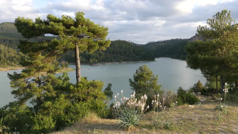 Spain-Serrania-De-Cuenca-Mountain-Lake-View-With-Pines