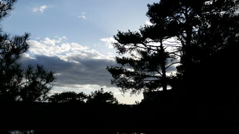 Spanien-Serrania-De-Cuenca-Bäume-Und-Wolken