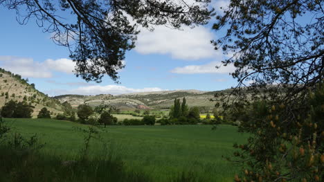 Spain-Sierra-De-Gudar-Wheat-Field