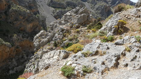 Griechenland-Kreta-Kourtaliotiko-Schlucht-Pflanzen-Inmitten-Von-Felsen