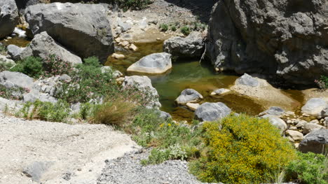 Greece-Crete-Kourtaliotiko-Gorge-Shrubby-Plants-And-Stream