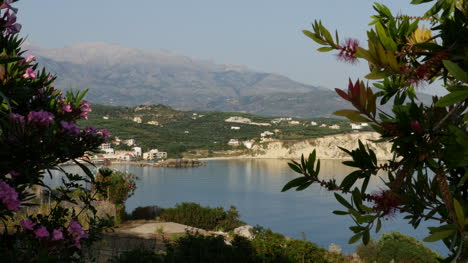 Griechenland-Kreta-Blumen-Küstenblick