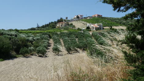 Griechenland-Kreta-Obstgarten-Und-Bauernhöfe
