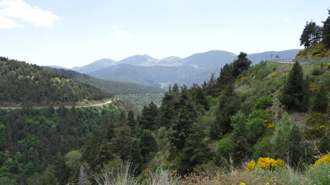 Spain-Pre-Pyrenees-Trees-And-Mountain-View-With-Road