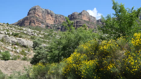 España-Pirineos-Acantilados-Rocosos-Y-Escoba-Española