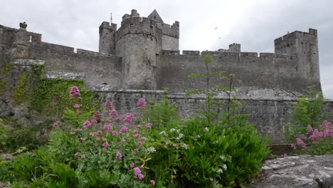 Irland-Cahir-Burg-Türme