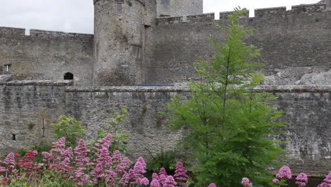 Irland-Cahir-Burgmauer-Mit-Blumen-Kippen-Nach-Oben