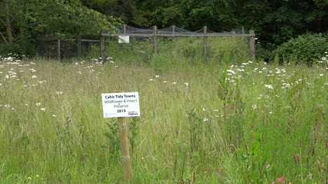 Ireland-Cahir-Tidy-Town-Sign