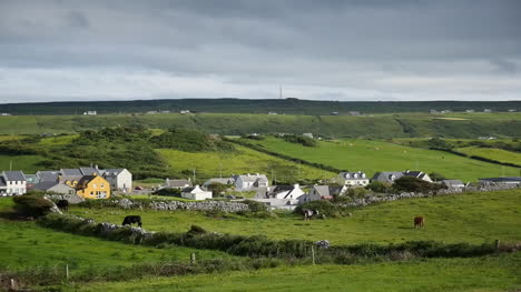 Irland-County-Clare-Doolin-Dorf-Mit-Weidenden-Kühen