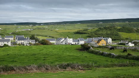 Irlanda-Del-Condado-Clare-Doolin-Village-Con-Campos-Y-Vacas