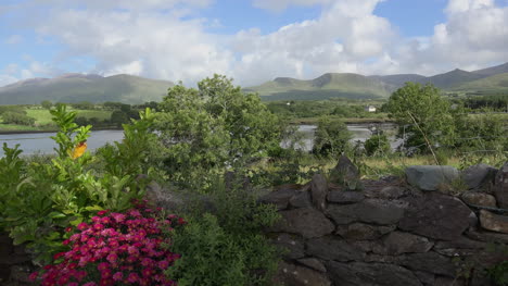 Irlanda-Península-Dingle-Cloghane-Vista-Del-Lago-Y-Las-Colinas-Con-Flores