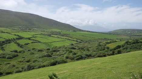 Ireland-Dingle-Peninsula-Rolling-Slopes-And-Hedgerows