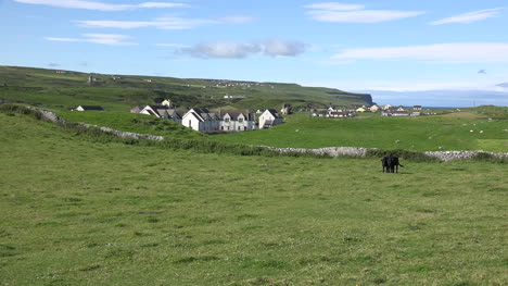 Irland-Doolin-Ansicht-Mit-Schwarzen-Kühen-Und-Häusern