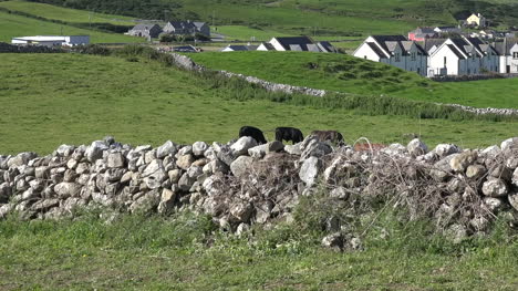 Ireland-Doolin-View-With-Stone-Wall-Pan-And-Tilt