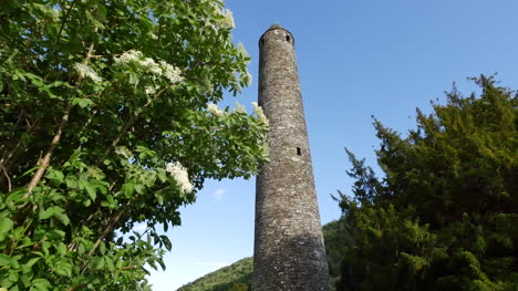 Torre-redonda-de-Irlanda-Glendalough-con-arbusto-floreciente