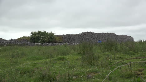 Irland-Die-Alte-Steinfestung-Burren