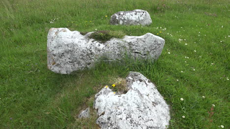 Irland-Die-Burren-Kalksteinfelsen-Mit-Gras-Und-Klee