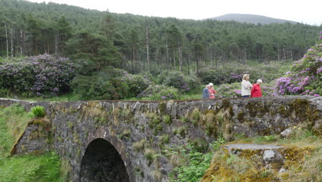 Irland-Die-V-Brücke-Mit-Menschen-With