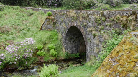 Irlanda-El-Puente-De-Piedra-Vee-Con-Vegetación