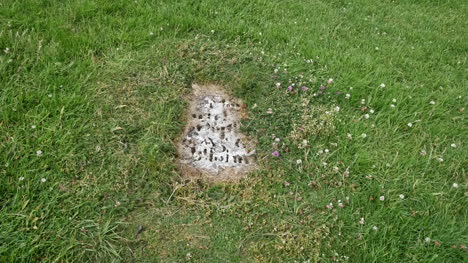 Irlanda-Clonmacnoise-Sepulcro-Parcialmente-Enterrado-Marcador-Acercar