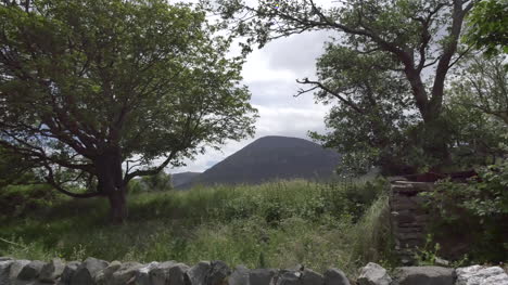 Irland-County-Mayo-Croagh-Patrick-Durch-Bäume