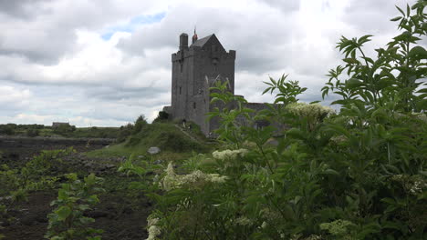 Irland-Dunguaire-Castle-Mit-Touristen,-Die-Stufen-Erklimmen