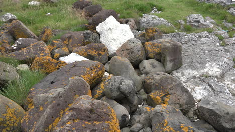 Nordirland-Antrim-Felsen-Mit-Flechten