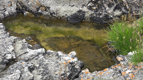 Northern-Ireland-Antrim-Zooms-Out-From-Tiny-Tidepool