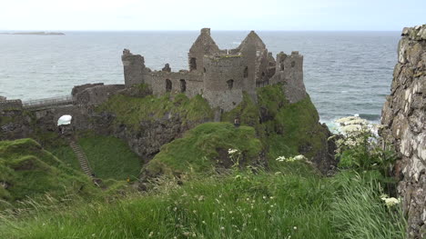 Irlanda-Del-Norte-Dunluce-Castle-Y-Queen-Anne-Lace