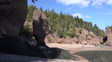 Canada-Group-Of-Tourists-At-Hopewell-Rocks