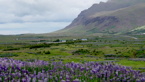 Islandlandschaft-Mit-Klippenschwenk-Und-Zoom