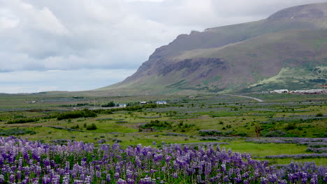 Islandlandschaft-Mit-Klippe