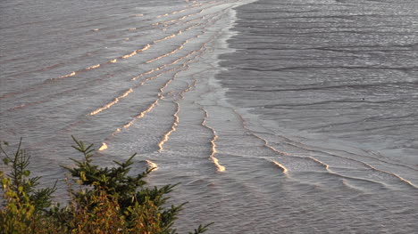 Nature-Detail-Of-Tide-Moving-In