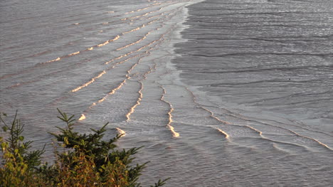 Detalle-De-La-Naturalezaaa-De-La-Marea-En-Movimiento