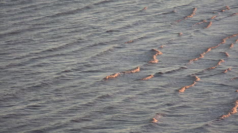 Nature-Ripples-In-Evening-Light