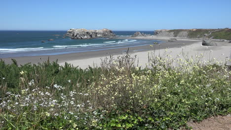 Oregon-Bandon-Curved-Beach-And-Flowers