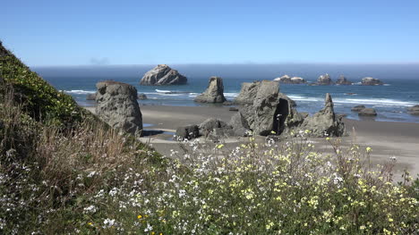 Oregon-Bandon-Blumen-Strand-Und-Meeresstapel