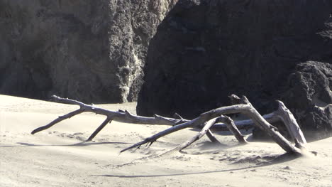 Oregon-Bandon-Rocks-Driftwood-With-Blowing-Sand