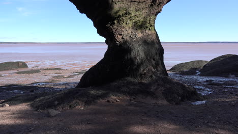 Kanada-Bay-Of-Fundy-Jenseits-Der-Felsbasis